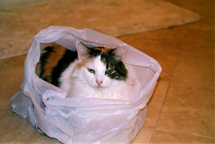 Princess In Bag
